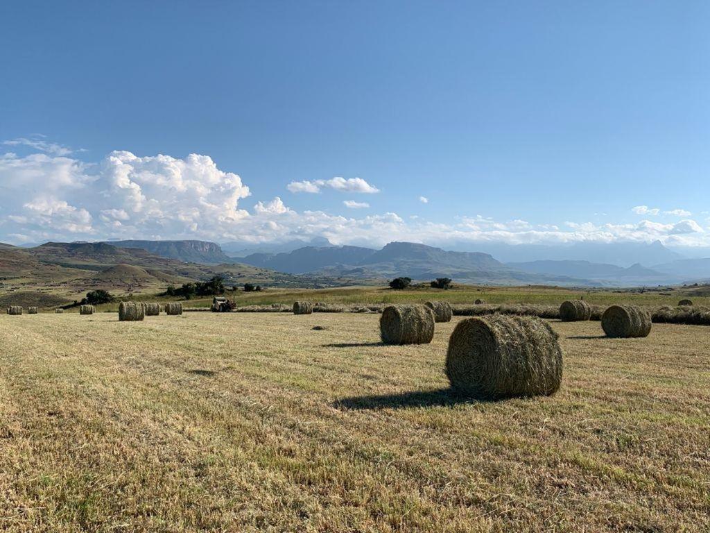 Kezlyn Farm Cottages Бергвилль Экстерьер фото